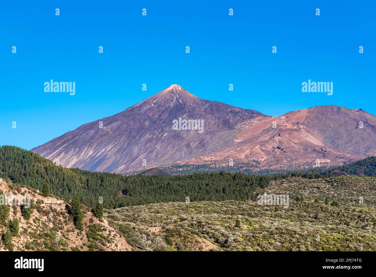 Vue sur le volcan Teide et la forêt de pins de Santiago del Teide, Tenerife, les îles Canaries, Espagne le jour ensoleillé de mars Banque D'Images