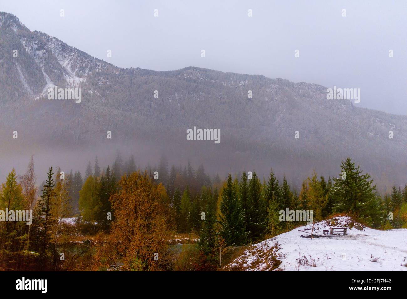 Un endroit pour se reposer avec un banc et un barbecue dans la neige au bord d'une falaise la nuit dans le brouillard des montagnes près de la forêt dans l'Altai à Sibe Banque D'Images
