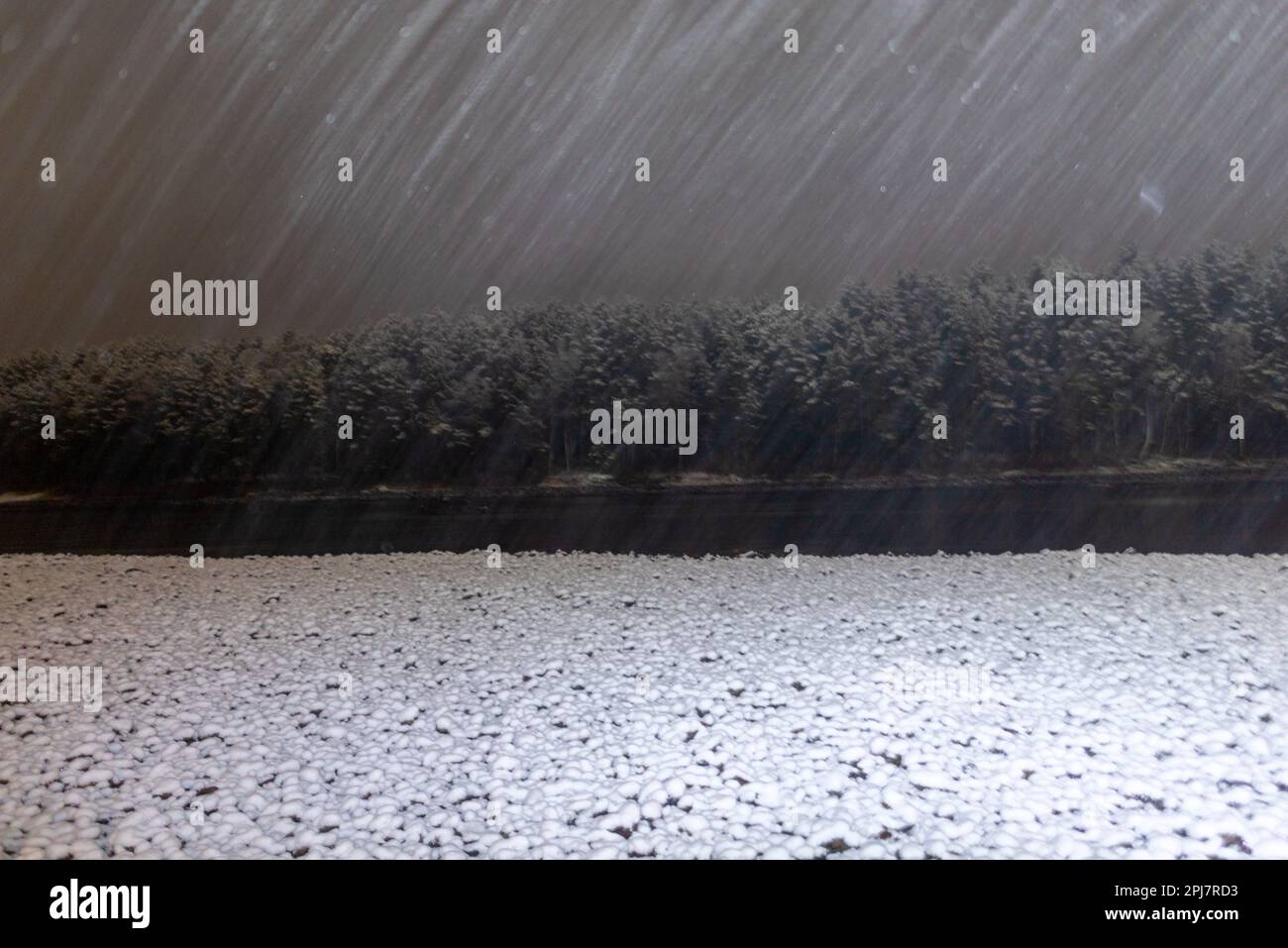 Chute de neige blanche la nuit dans l'obscurité dans un faisceau de lumière sur fond de rivière Katun et de forêts en automne dans l'Altaï Banque D'Images