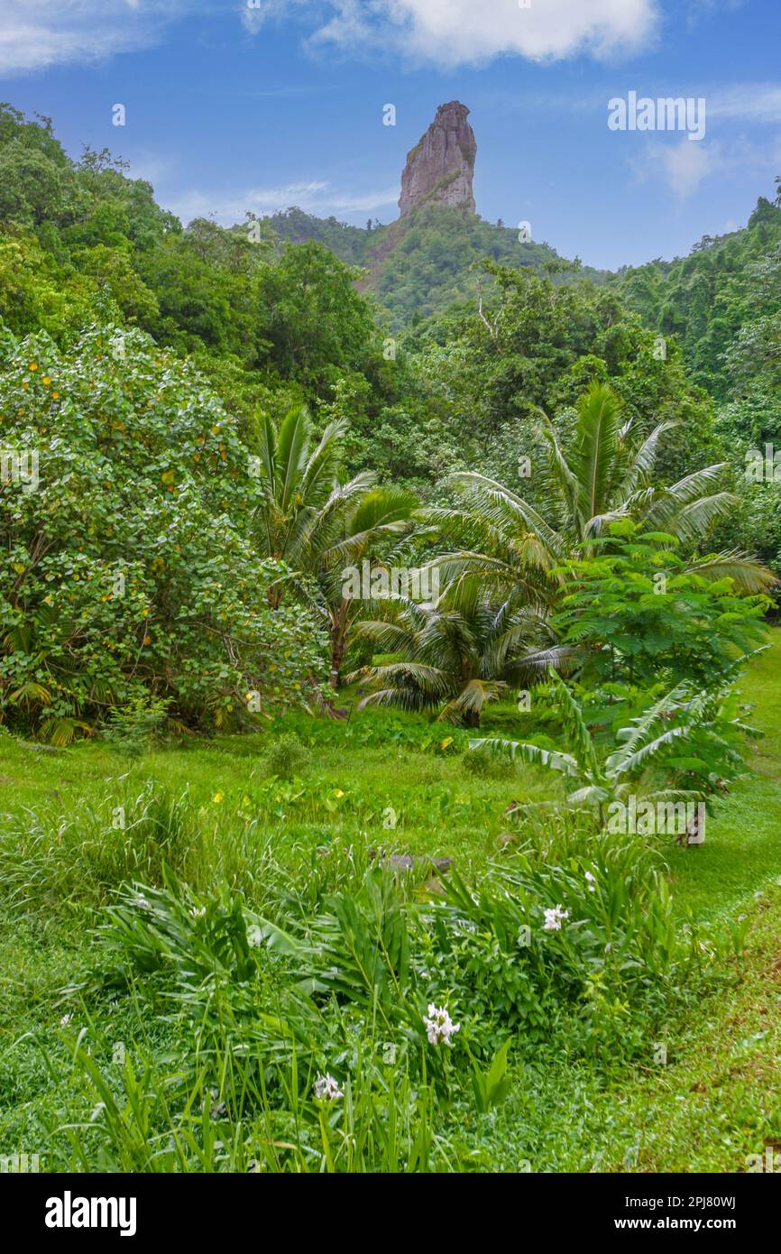 The Needle, ou te Rua Manga, est une formation rocheuse distinctive haut dans les montagnes densément boisées au centre de l'île tropicale de Rarotonga Banque D'Images