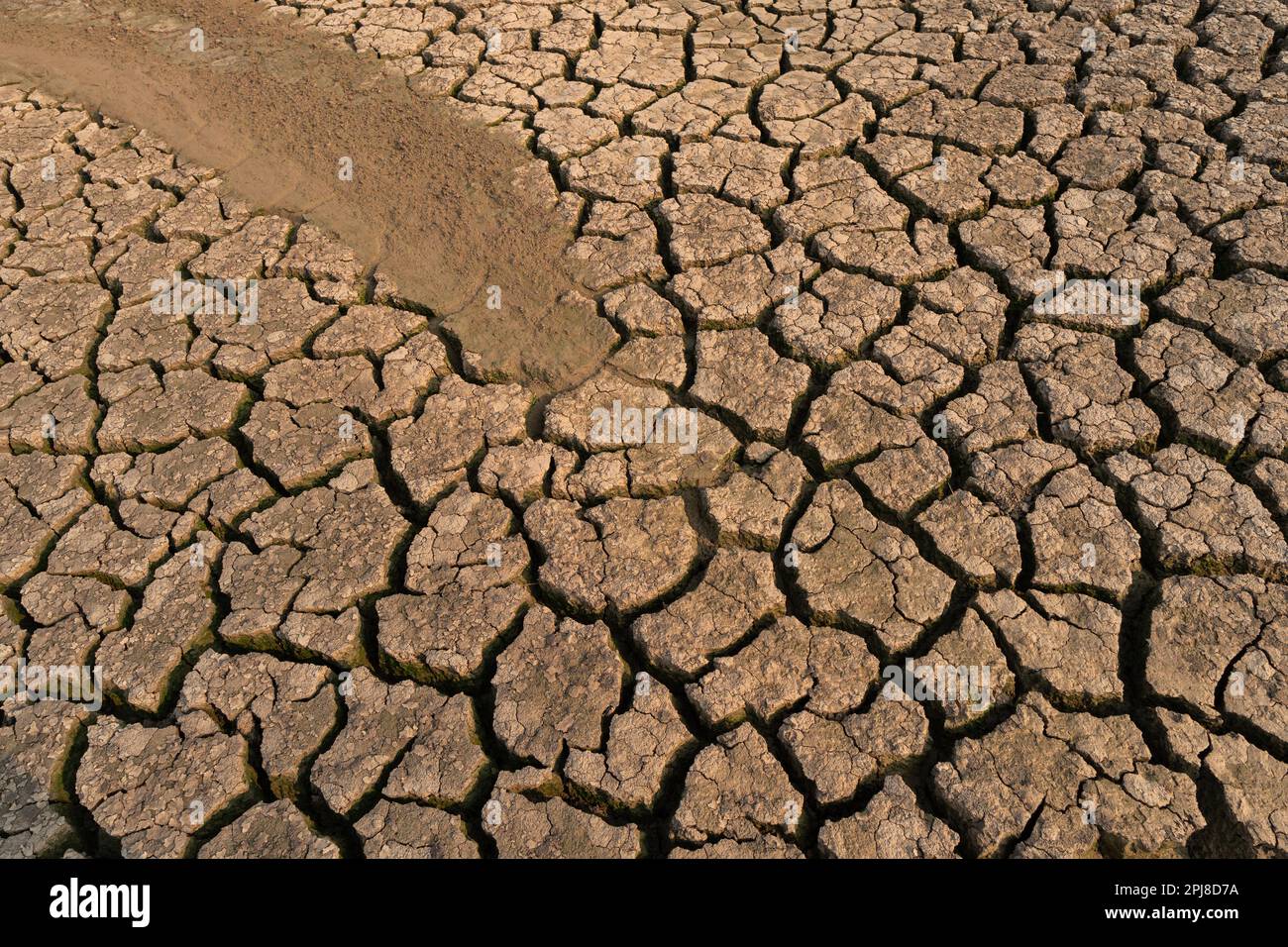 Crise de l'eau sèche des fissures profondes symbolisent le temps chaud et la sécheresse. Banque D'Images