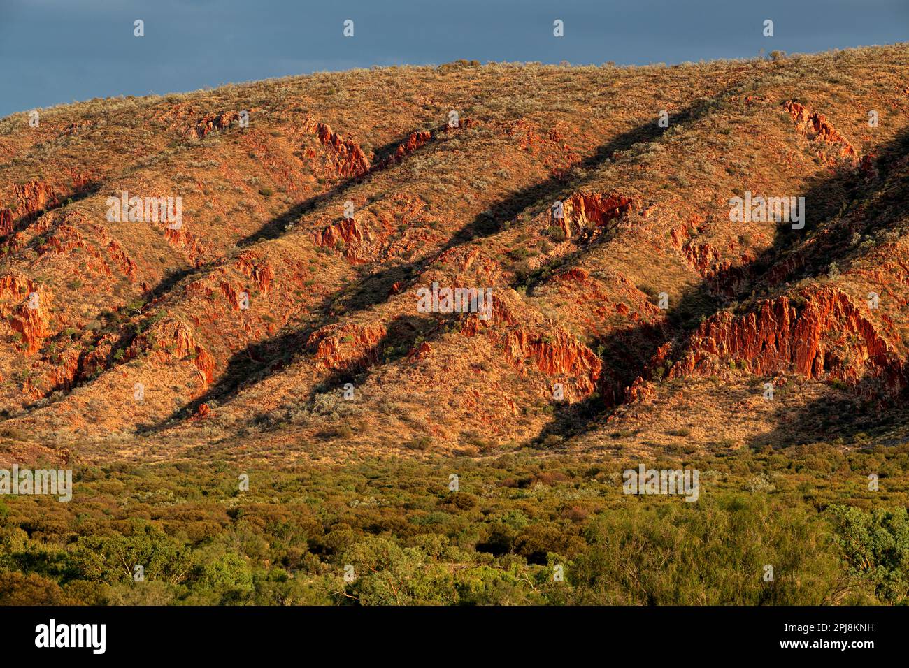 Pentes des majestueuses chaînes de MacDonnell en Australie centrale. Banque D'Images