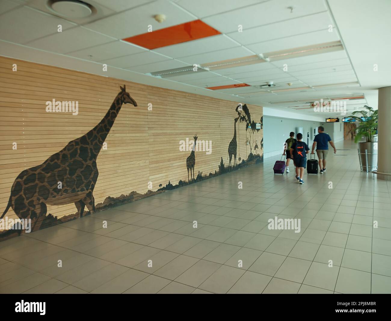 aéroport international de cape town,cape town,aéroport de cape town,aéroport d'afrique du sud,boutiques d'aéroport de cape town,cuvette de toilettes,wc,wc d'aéroport, Banque D'Images