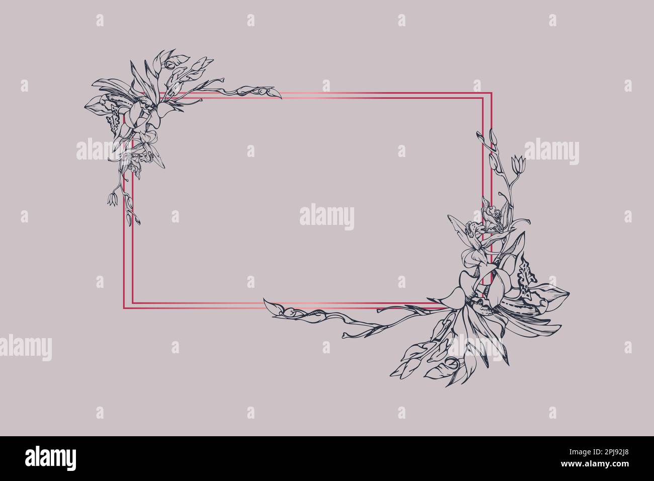 Fleurs et branches d'orchidées à encre vectorielle dessinées à la main, monochrome, contour détaillé. Composition horizontale du cadre. Isolé sur fond blanc. Conception Illustration de Vecteur
