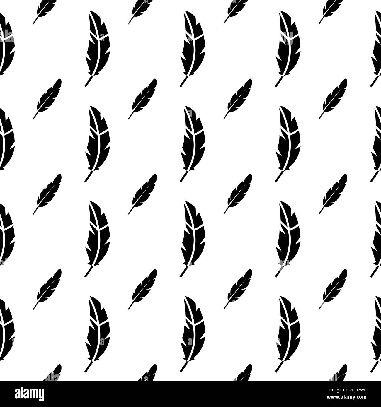 Motif plumes d'oiseaux. Motif sans coutures en plumes. Plumes d'oiseaux. Motif plumes Illustration de Vecteur