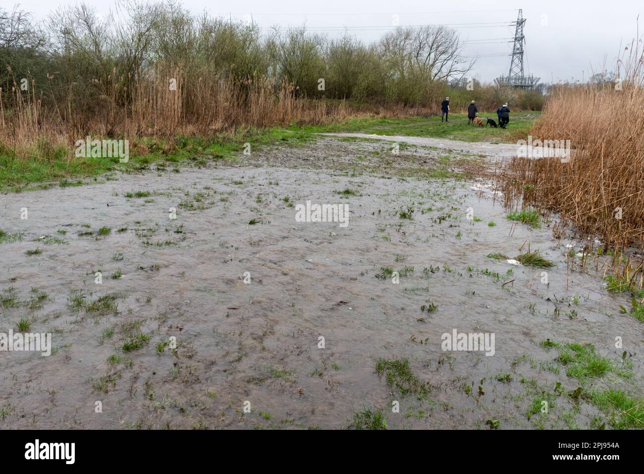 1 avril 2023. Après la marche la plus humide en Angleterre depuis plus de 40 ans, le parc national d'Edenbrook à Fleet, Hampshire, au Royaume-Uni, est gravement inondé. Les conditions météorologiques extrêmes, telles que les fortes précipitations, peuvent être liées au changement climatique. Banque D'Images