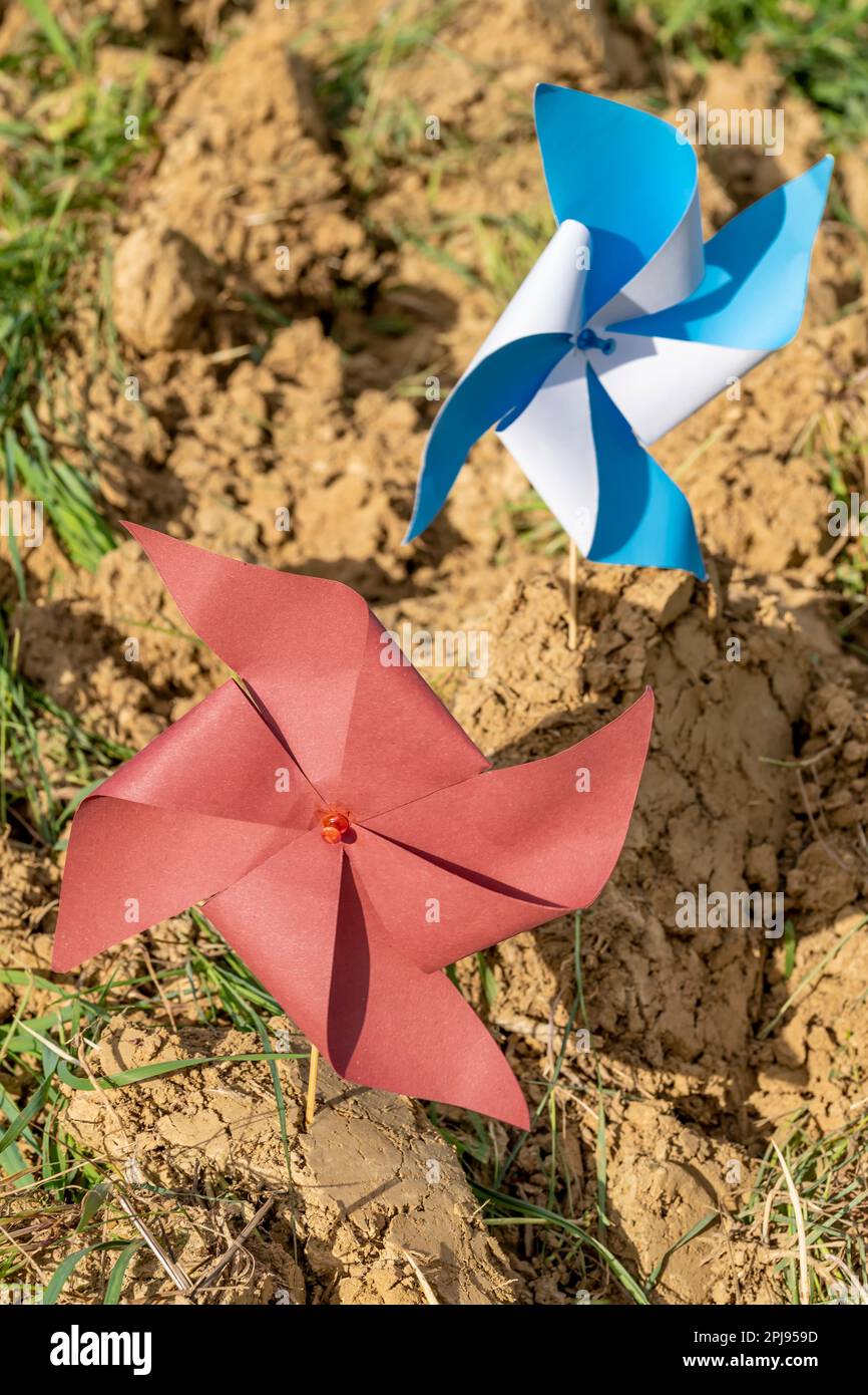 Deux pignons, l'un rouge et l'autre blanc et bleu, sont collés dans des huttes de terre fraîchement labourée Banque D'Images