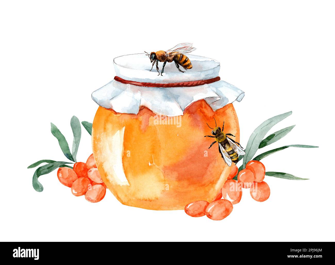 Illustration de miel. Bocal aquarelle de miel avec argousier et abeilles. Logo miel doux isolé sur blanc. marque de miel. Banque D'Images