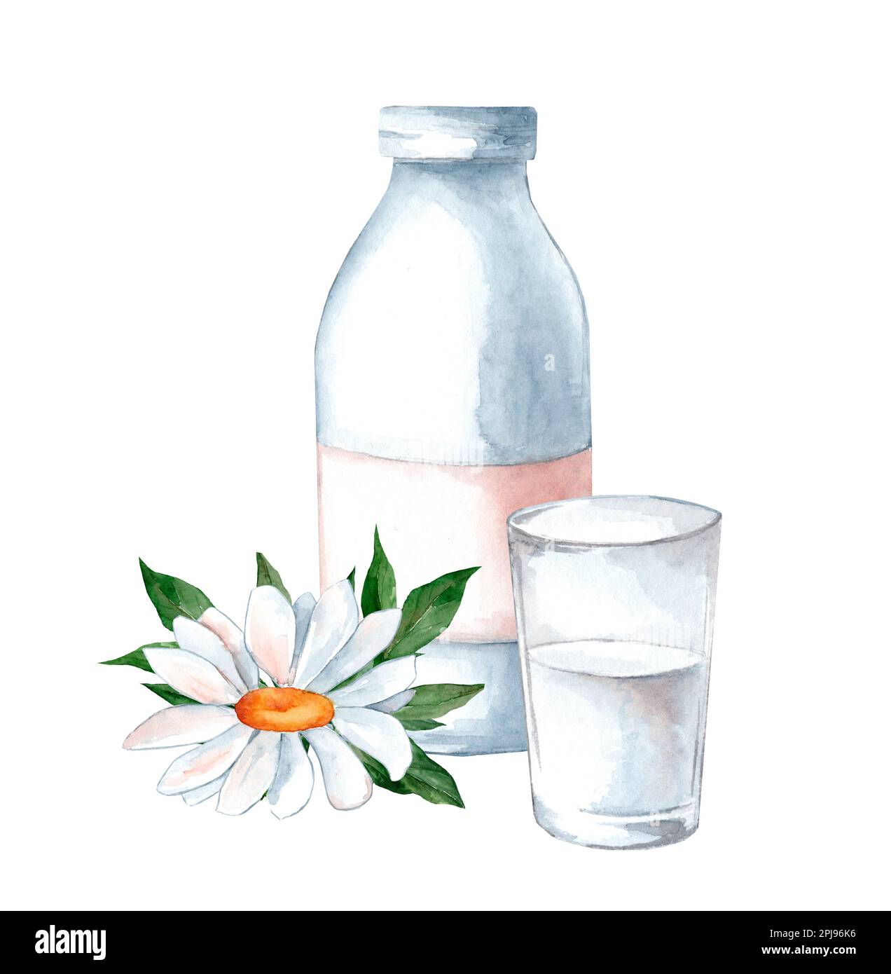 Bouteille de lait et verre. Conditionnement de lait complet et contenant en  verre pour boissons lactées avec fleurs de camomille. Village Photo Stock -  Alamy