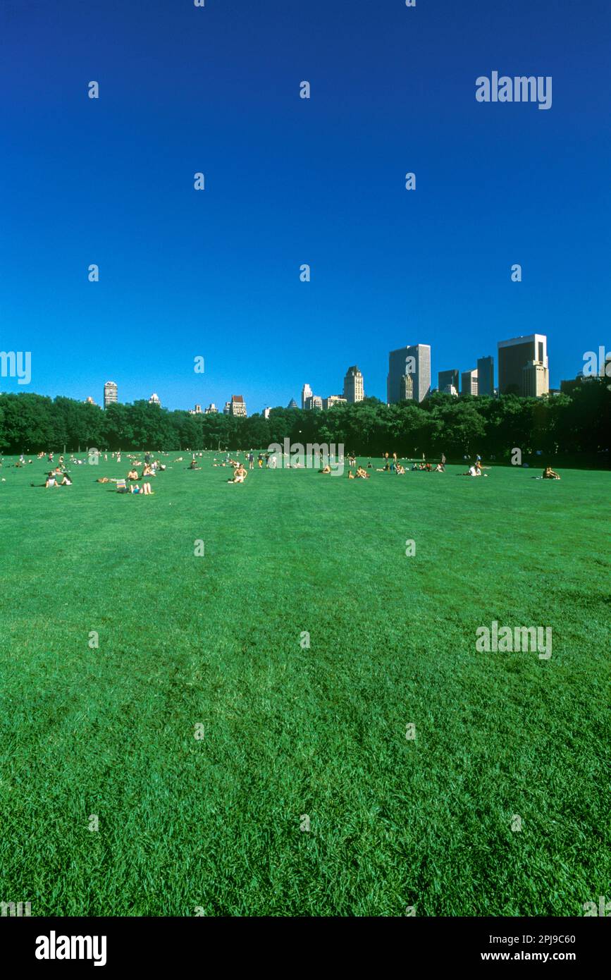 2001 PRAIRIE HISTORIQUE DE MOUTONS PELOUSE VERTE CENTRE DU PARC SOUTH SKYLINE MANHATTAN NEW YORK ÉTATS-UNIS Banque D'Images