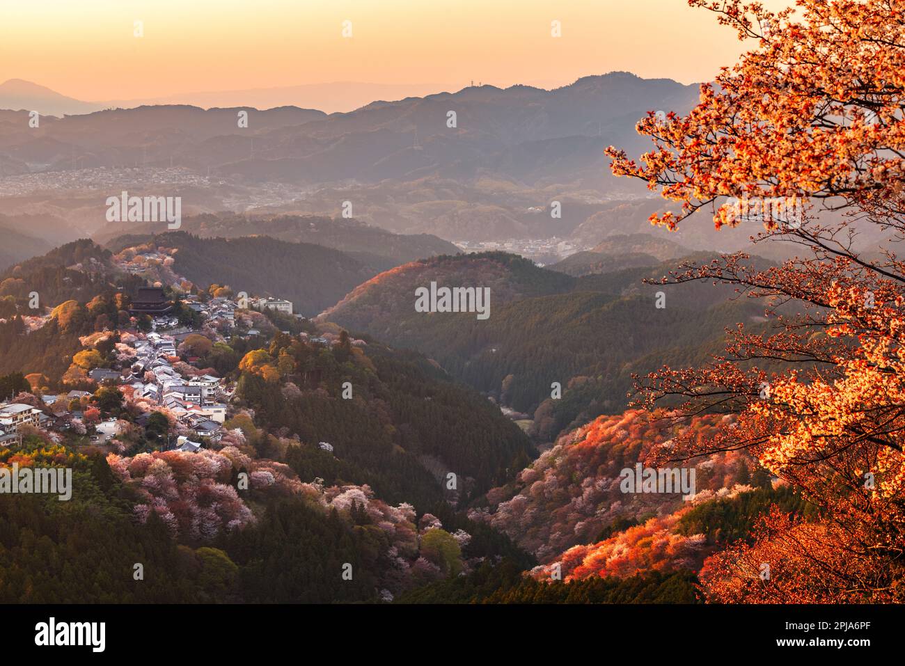 Yoshinoyama, Nara, Japon, et dans la saison du printemps. Banque D'Images