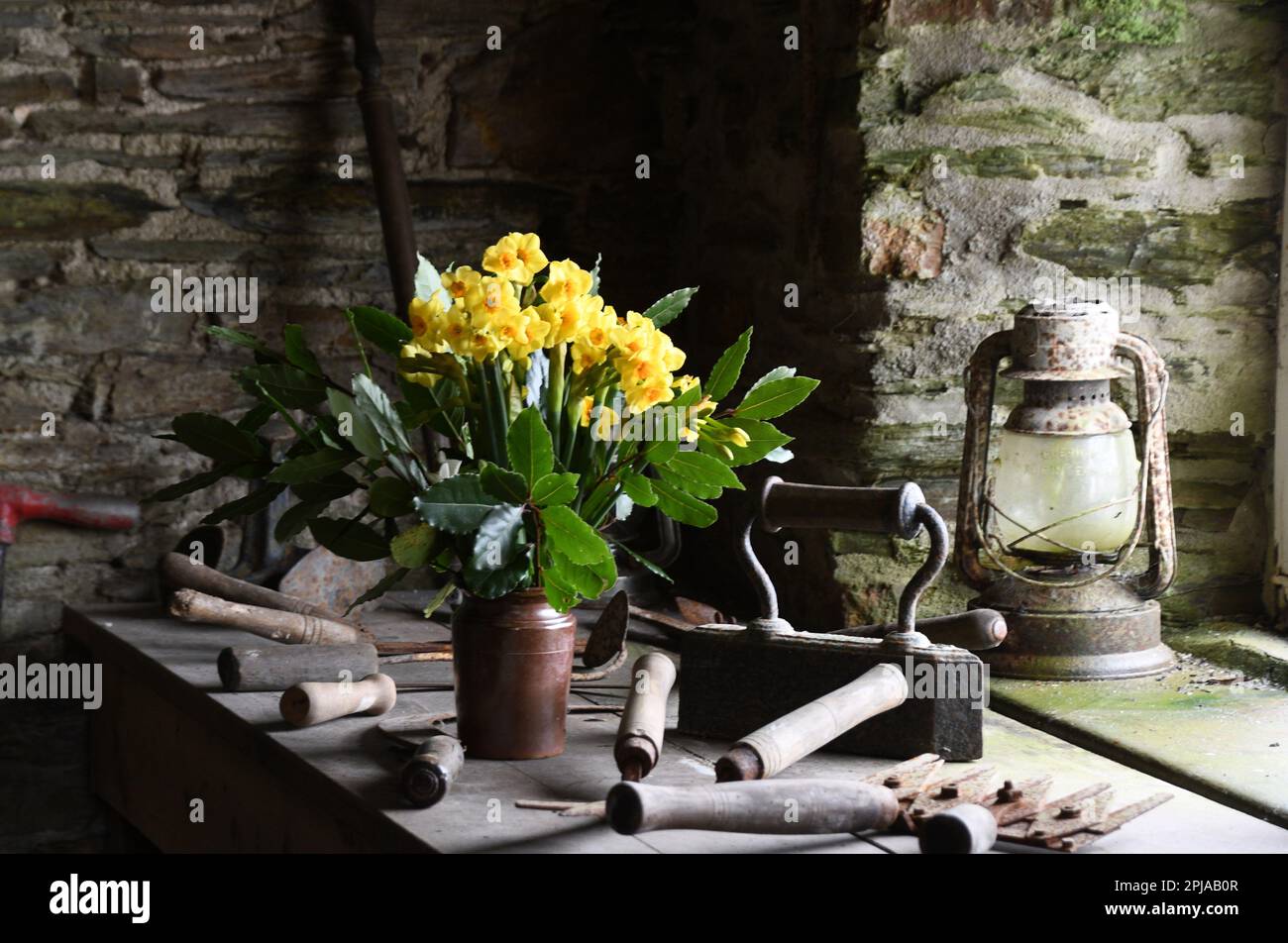 Une sélection de vieux outils de jardin entourant un vieux vase en faïence de jonquilles dans le hangar à outils des Jardins perdus d'Heligan près de Mevagissey Banque D'Images Une sélection de vieux outils de jardin entourant un vieux vase en faïence de jonquilles dans le hangar à outils des Jardins perdus d'Heligan près de Mevagissey Banque D'Images