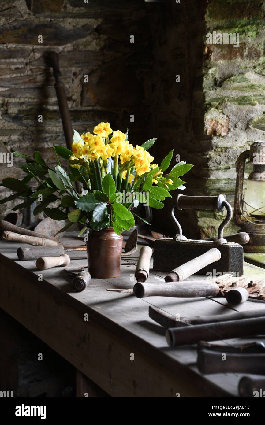 Une sélection de vieux outils de jardin entourant un vieux vase en faïence de jonquilles dans le hangar à outils des Jardins perdus d'Heligan près de Mevagissey Banque D'Images