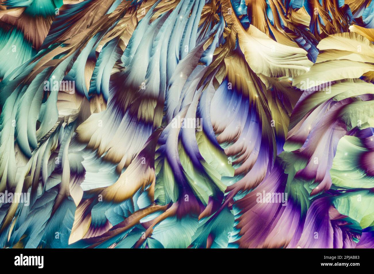 Mélange d'acides aminés bêta-alanine et L-glutamine dans la lumière polarisée croisée Banque D'Images