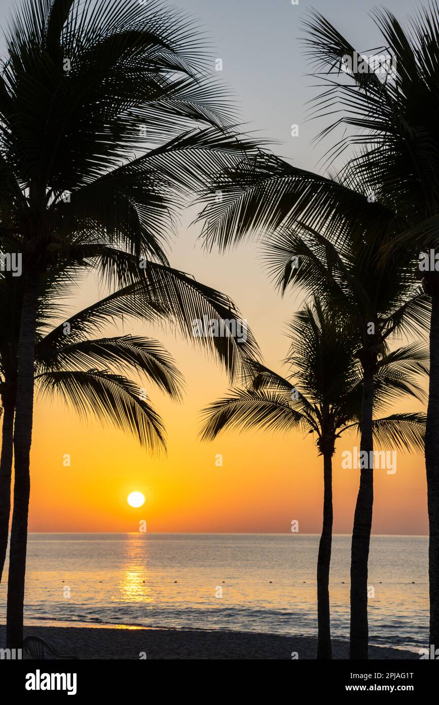 Lever de soleil derrière les palmiers sur la côte ouest du Panama. Ciel orange. Tôt le matin. Banque D'Images