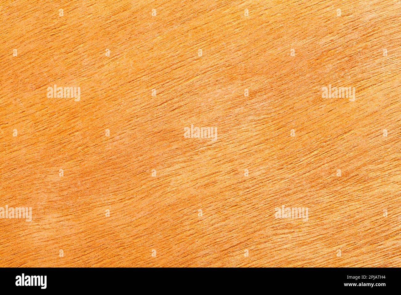 Gros plan de texture de grain de bois de feuillus. Banque D'Images