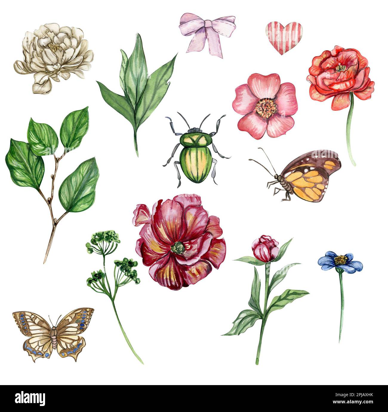 Aquarelle illustration ensemble de fleurs éléments, butterfly. Fleurs fleuries dessinées à la main avec aquarelle sur un fond blanc isolé. Banque D'Images