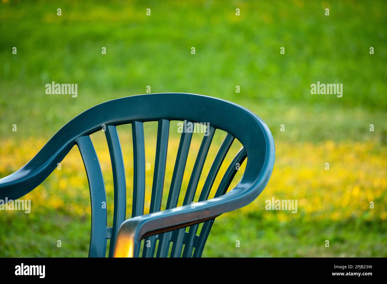 Une chaise en plastique vert se trouve devant un champ de fleurs jaunes. Banque D'Images