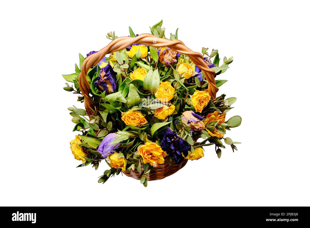 Panier avec roses sèches jaunes et violettes, isolé sur fond blanc. Bouquet de fleurs sauvages. Roses jaunes et bleues séchées en composition d'automne. Banque D'Images