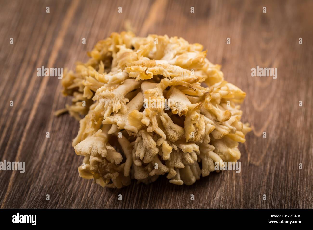 Maitake - Hen des bois, champignons comestibles Banque D'Images