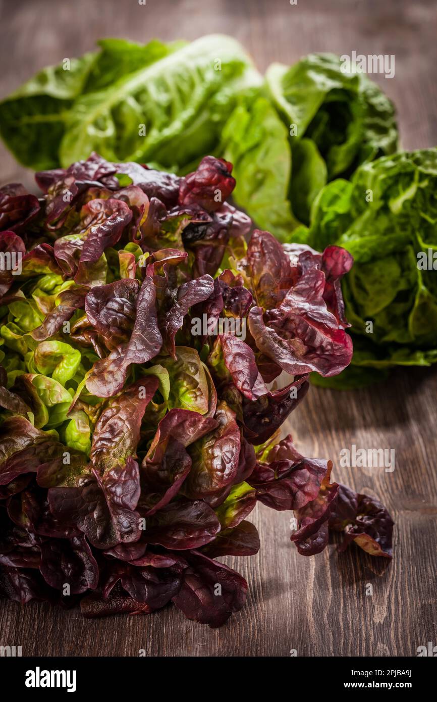Assortiment de laitue sur une table en bois Banque D'Images