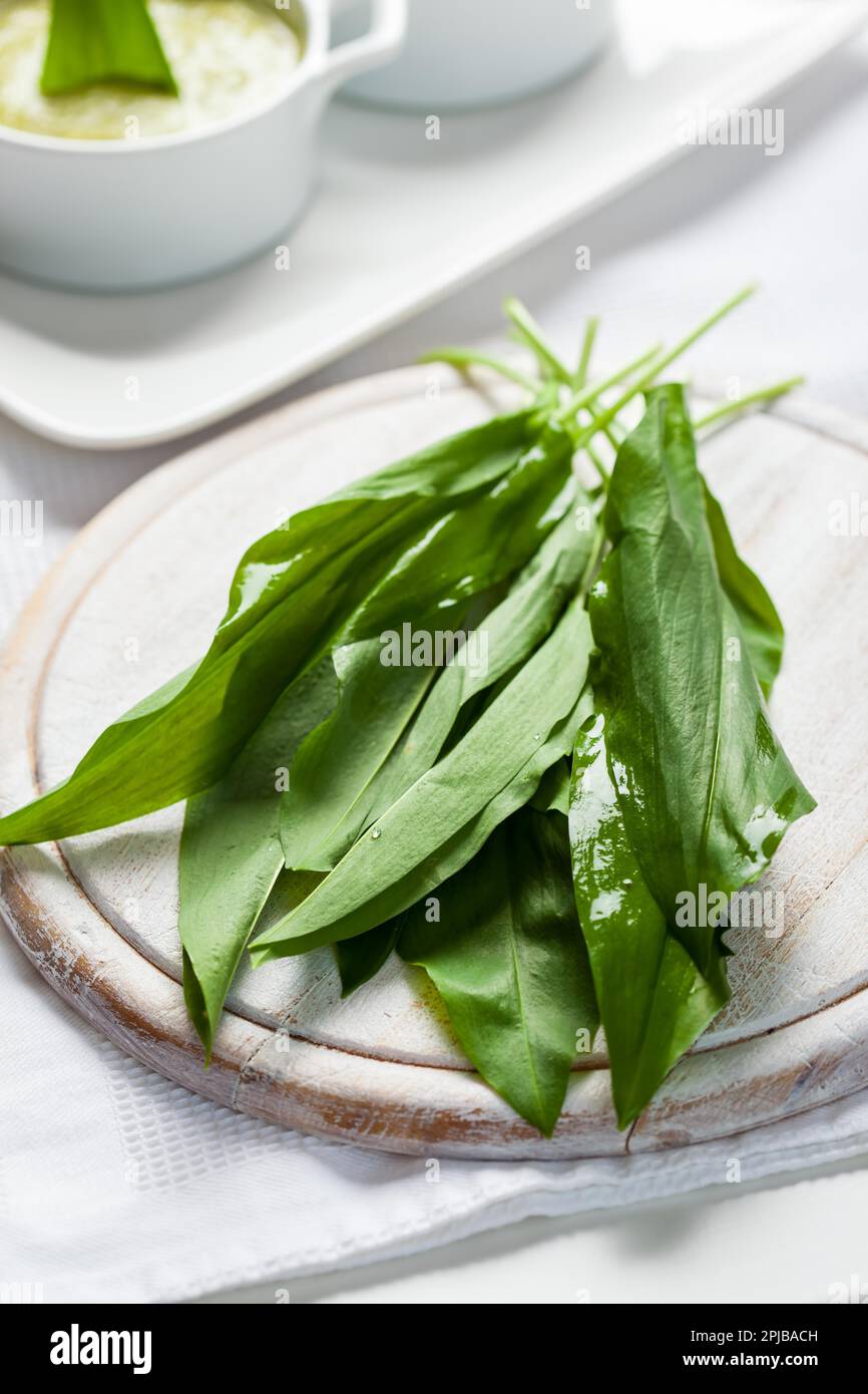 Feuilles d'ail frais sauvages avec soupe Banque D'Images