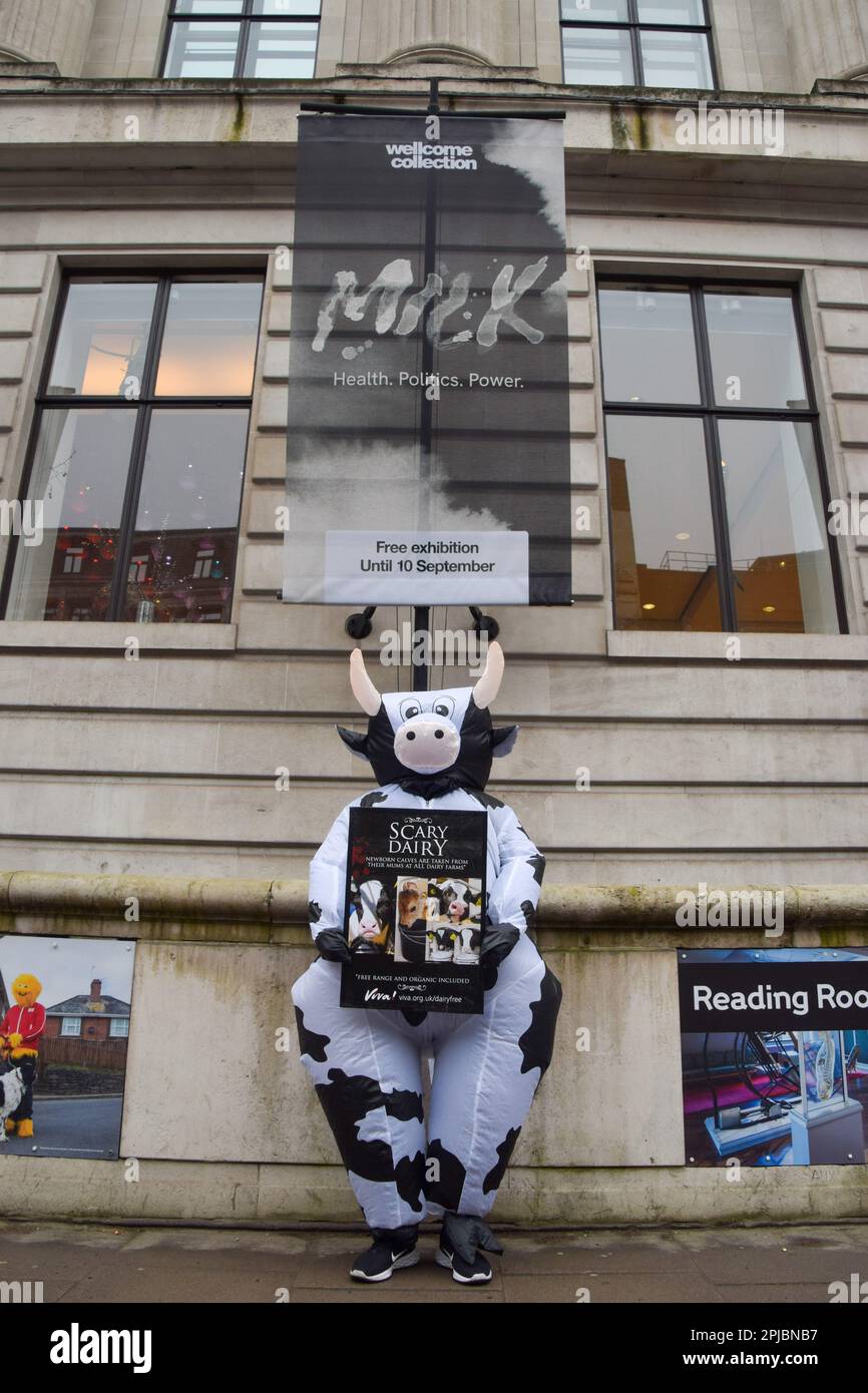 Londres, Royaume-Uni. 29th mars 2023. Des militants des droits des animaux portant des panneaux anti-laitiers se sont réunis en dehors de la collection Wellcome à l'ouverture de l'exposition 'Milk' du musée, qui « explore notre relation avec le lait et sa place dans la politique, la société et la culture ». Banque D'Images