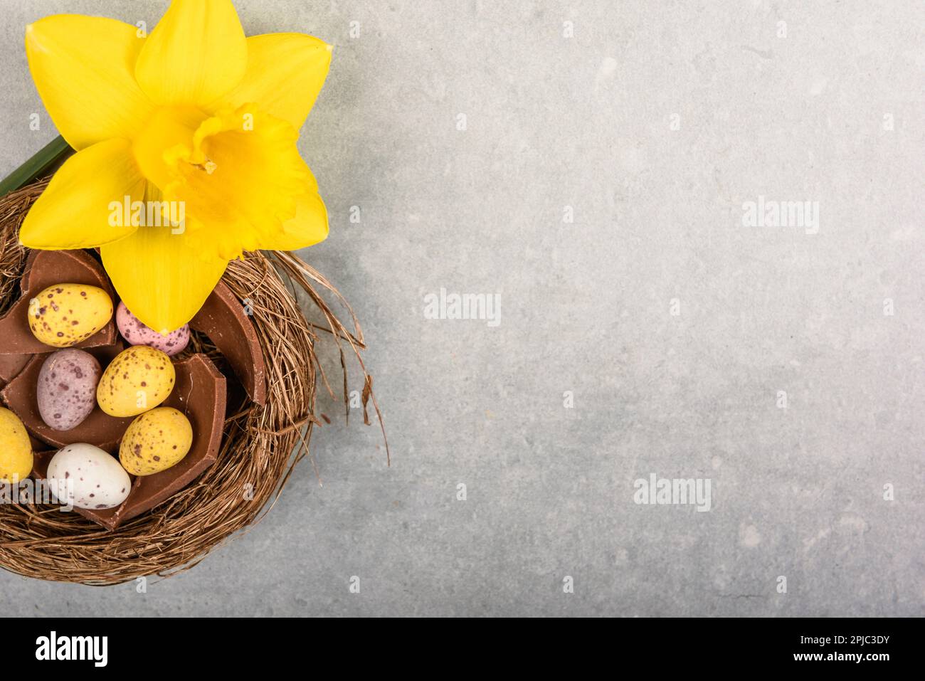 Toile de fond de Pâques sur table en pierre avec vue sur le dessus de table en chocolat oeuf de Pâques et la fleur de jonquille sur le nid traditionnel de pâques Banque D'Images