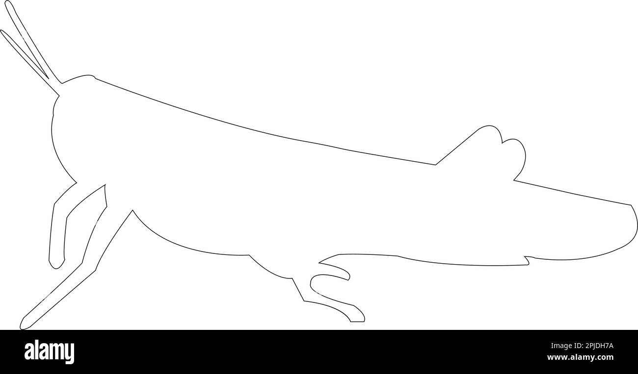 illustration du logo de la sauterelle vecteur Illustration de Vecteur