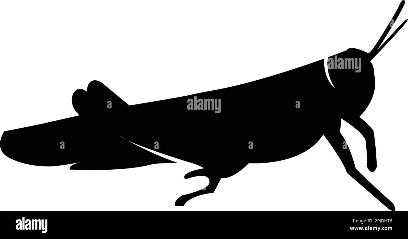 illustration du logo de la sauterelle vecteur Illustration de Vecteur