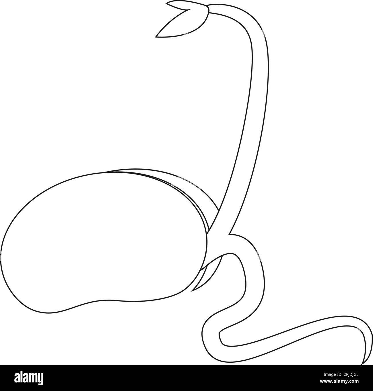 motif d'illustration d'icônes de germes de grain Illustration de Vecteur