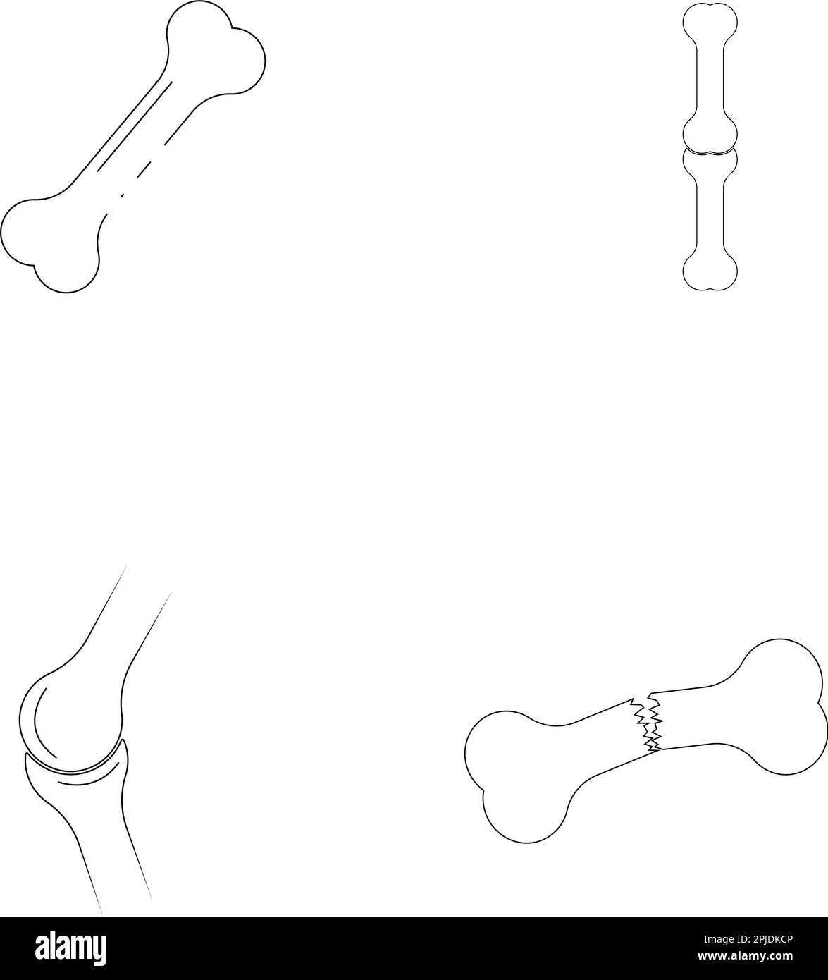 modèle de vecteur d'icône d'os simple Illustration de Vecteur