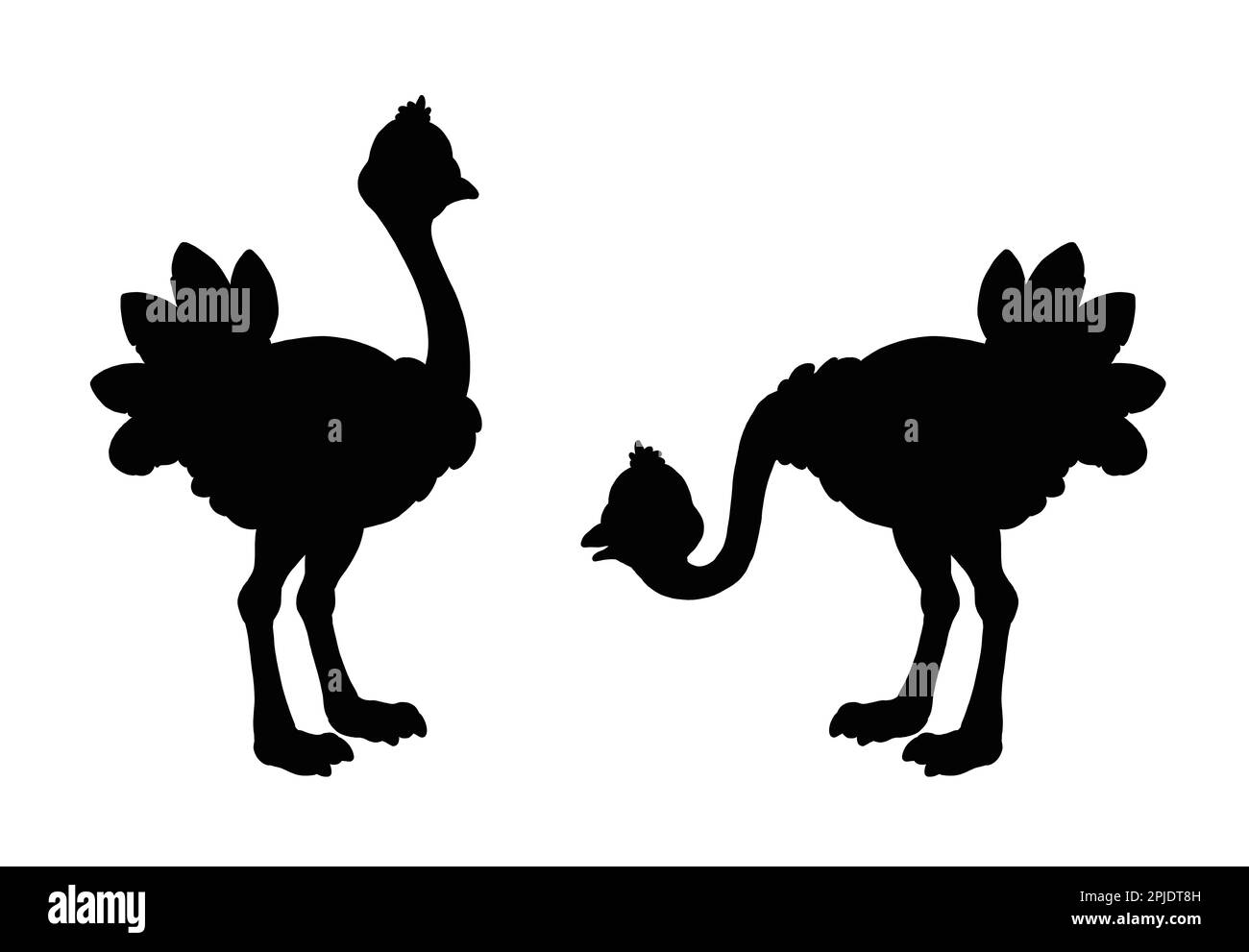 Silhouette noire d'autruche drôle. Modèle avec des oiseaux amusants. Page de coloriage pour enfants. Banque D'Images
