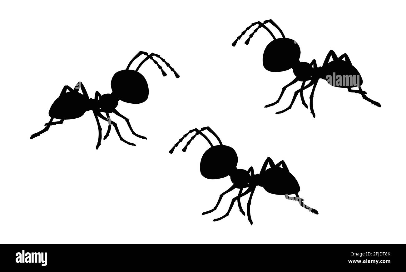 Silhouette noire de colonie ant. Modèle avec des fourmis amusants. Modèle pour les enfants à découper. Banque D'Images