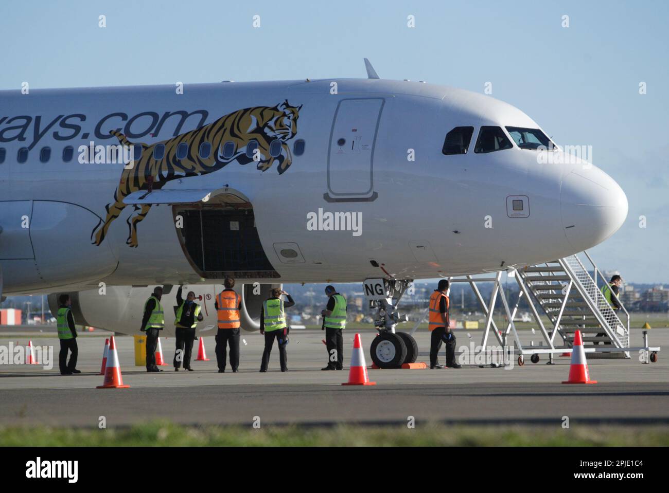 Le vol inaugural de Tiger Airways, le budget filiale de Singapore Airlines, dans l'aéroport de Sydney. L'arrivée et aire de conférence de presse a été également assisté par des joueurs de l'équipe de rugby de Wests Tigers LNR. Sydney, Australie. 02.07.09. Banque D'Images