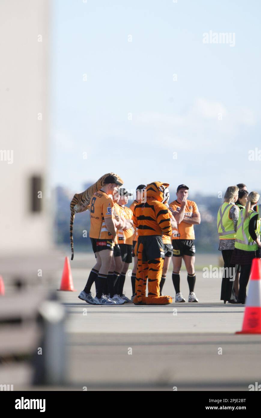 Le vol inaugural de Tiger Airways, le budget filiale de Singapore Airlines, dans l'aéroport de Sydney. L'arrivée et aire de conférence de presse a été également assisté par des joueurs de l'équipe de rugby de Wests Tigers LNR. Sydney, Australie. 02.07.09. Banque D'Images