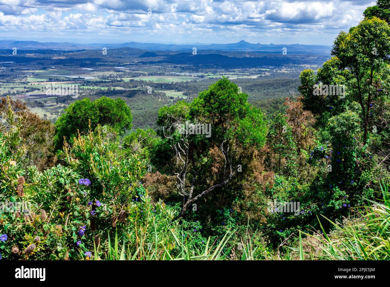 Vue vers l'ouest depuis le point de vue Rotary sur le mont Tamborine Banque D'Images