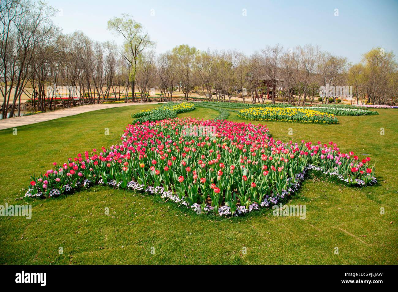 Le Suncheonman International Garden Expo 2023, 28 mars 2023 : Tulips à l'occasion du Suncheonman International Garden Expo 2023 à Suncheon, à environ 420 km (261 miles) au sud de Séoul, en Corée du Sud. L'exposition sur le jardin aura lieu au jardin national de Suncheon Bay et dans d'autres lieux de la ville. Il se déroulera d'avril à octobre pour présenter divers types de cultures de jardin. Credit: Lee Jae-won/AFLO/Alay Live News Banque D'Images