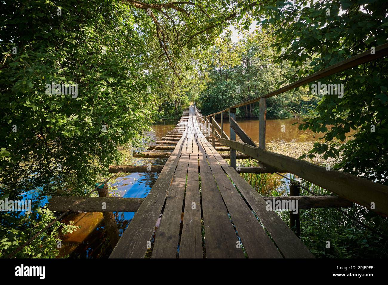 Pont de suspension en bois. Pont piétonnier suspendu au-dessus de la rivière Naroch entre les villages de Ruchitsa et de Krasnica. District de Vileika, région de Minsk, Bélarus Banque D'Images