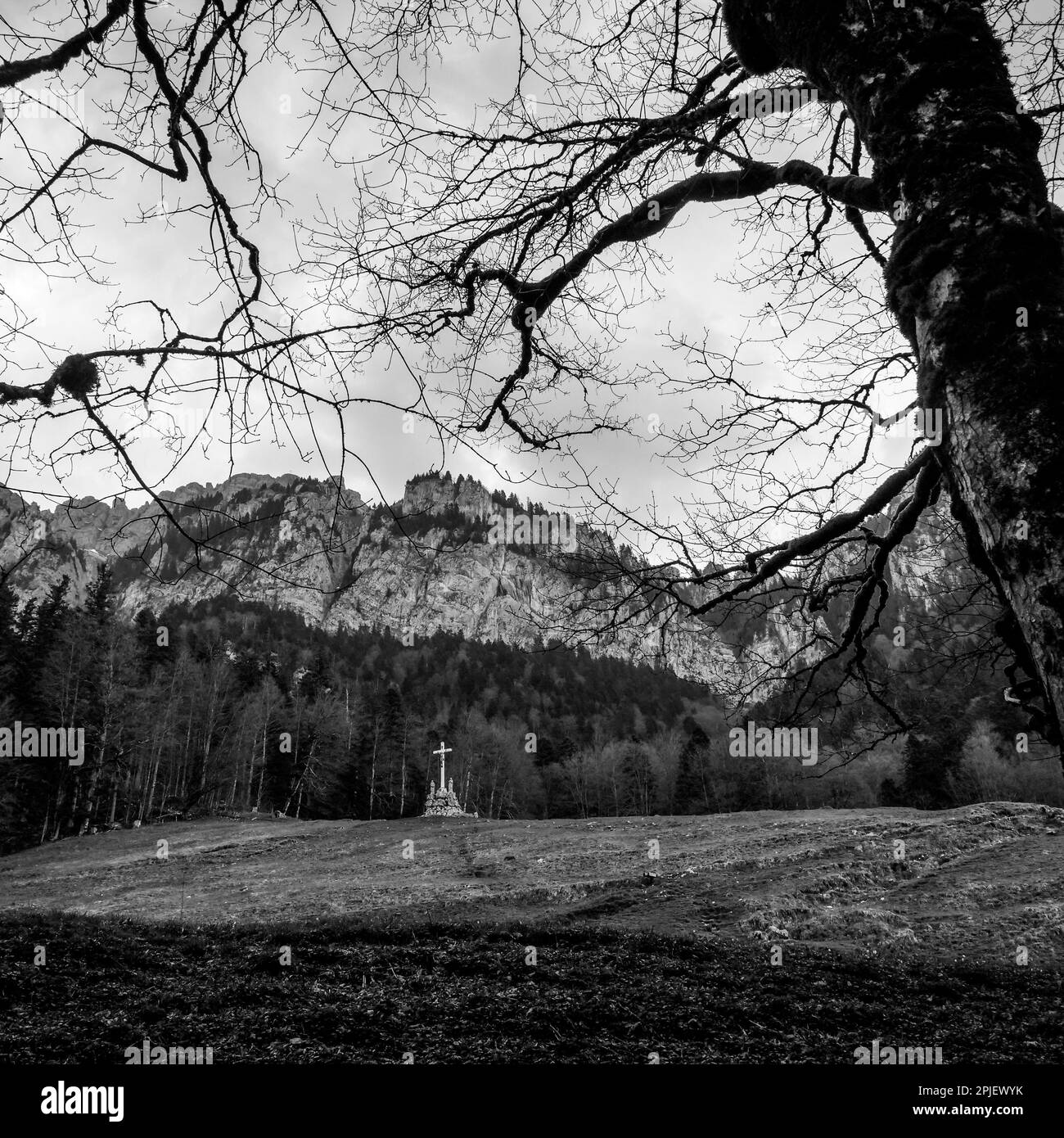 Grand monastère de Chartreuse, vue modifiée numériquement, SaintPierre