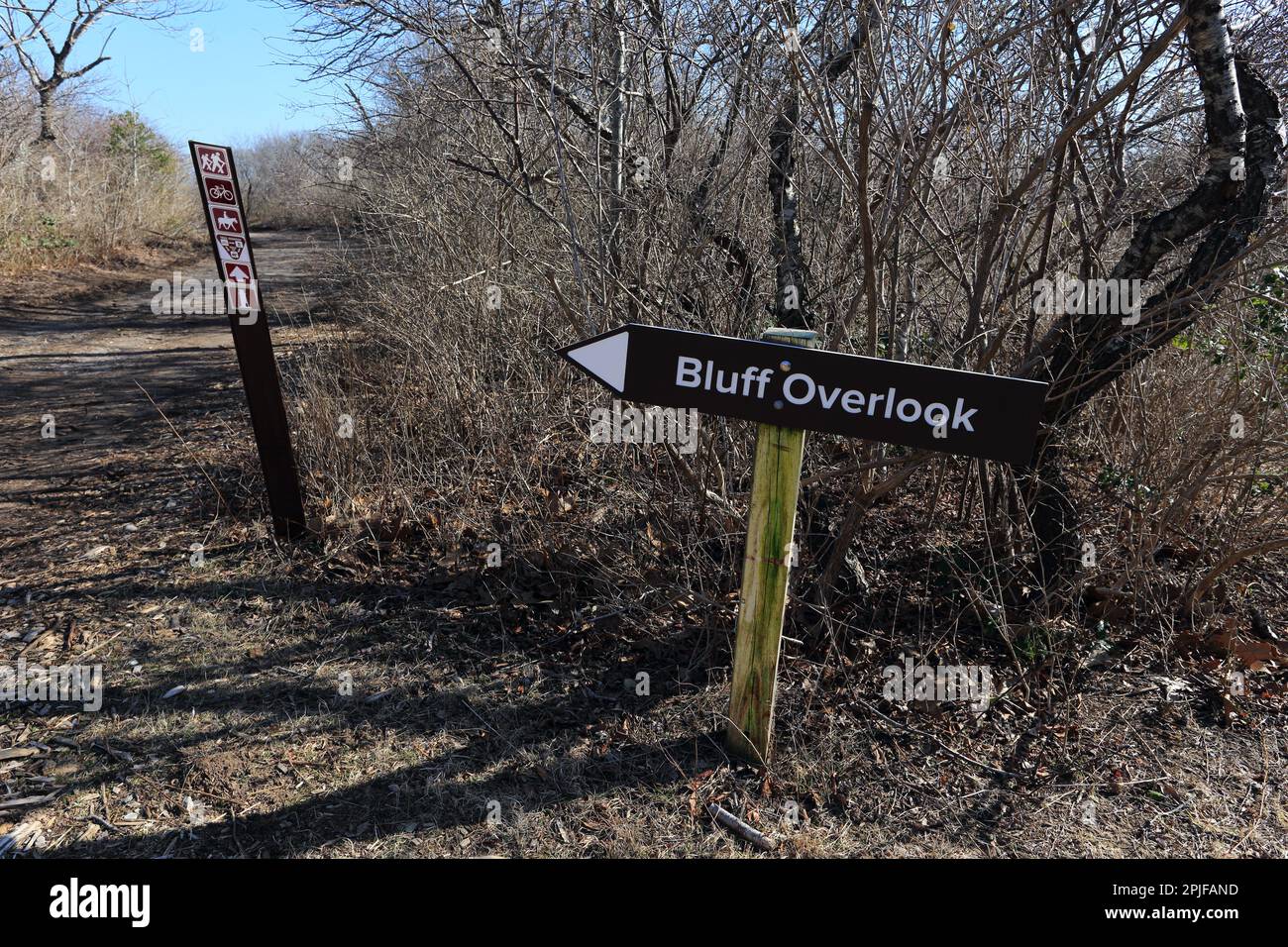 Sentier de randonnée, Camp Hero Stae Park, Montauk, long Island, NY Banque D'Images