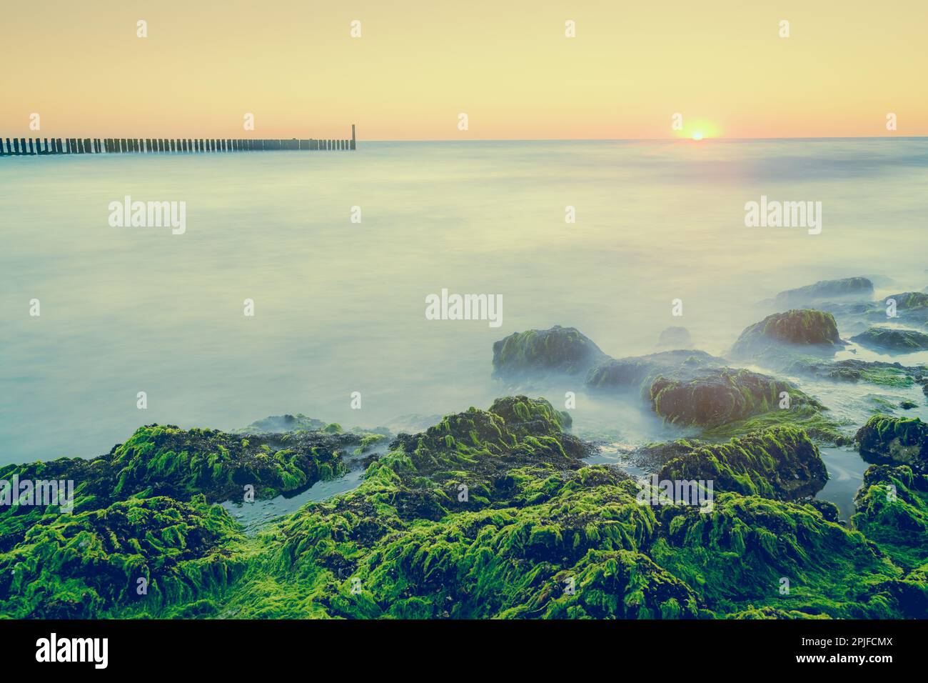 Rochers avec algues vertes à la lumière du soleil couchant et des vagues mystiques . Photographie longue durée sur la côte hollandaise, Zeeland, pays-Bas Banque D'Images