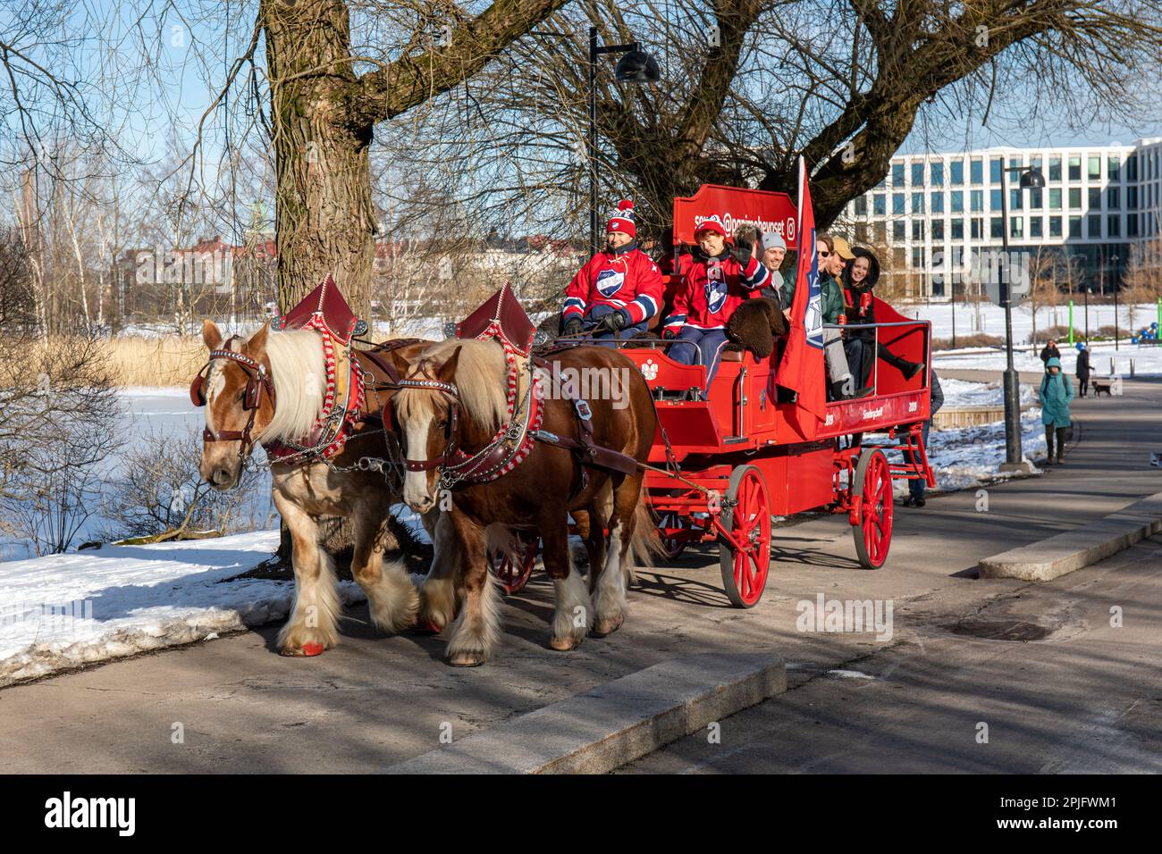 Des chevaux de trait de Jutland tirent un wagon plein de gens et font de la publicité pour la brasserie Sinebrychoff à Hesperia Park, Helsinki, Finlande Banque D'Images