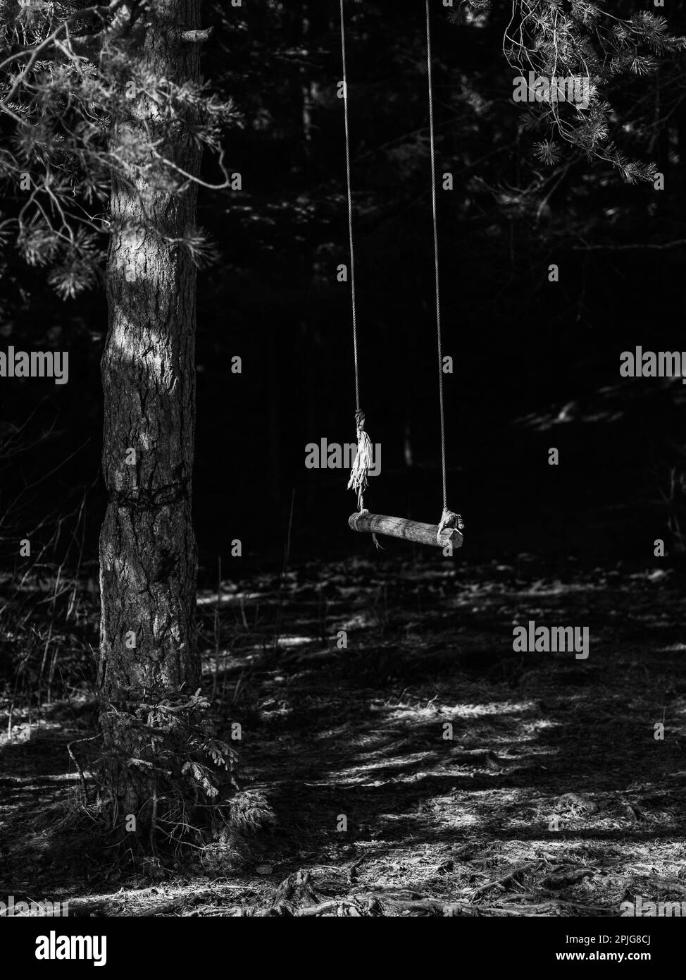 Photographie en noir et blanc d'une balançoire maison et solitaire dans la forêt lors d'une randonnée en Norvège, 2023 Banque D'Images