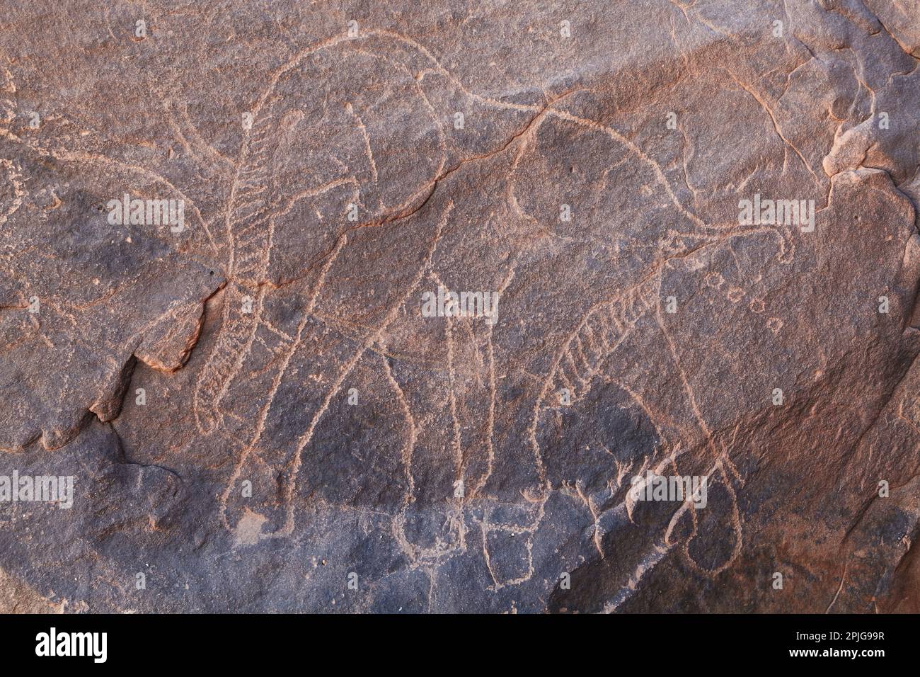 Gravure rupestres dans désert du Sahara, Tadrart, Algérie Banque D'Images