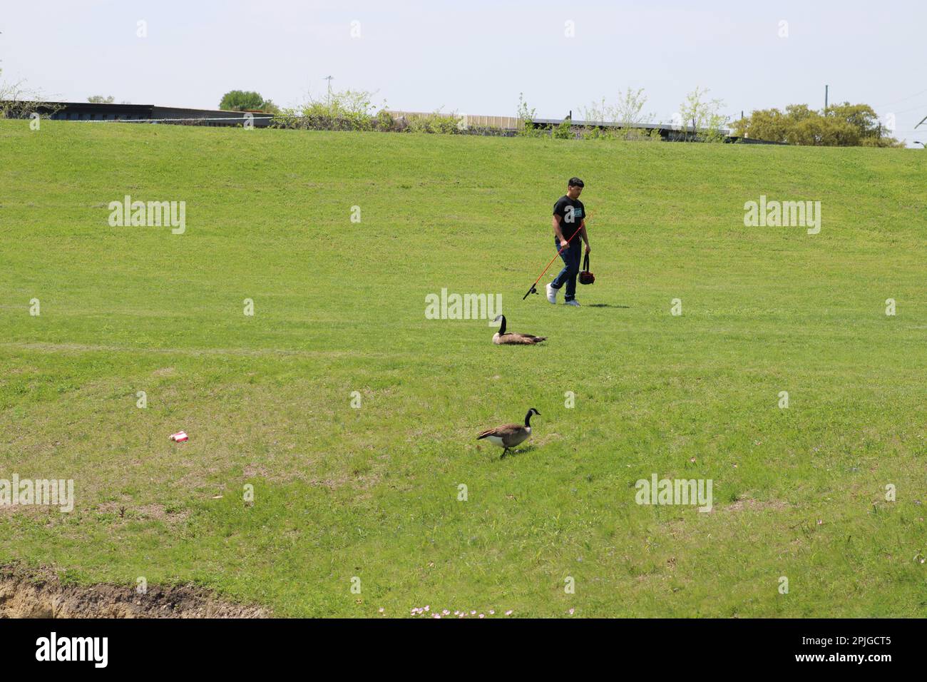 Style de vie à Dallas Metroplex Banque D'Images