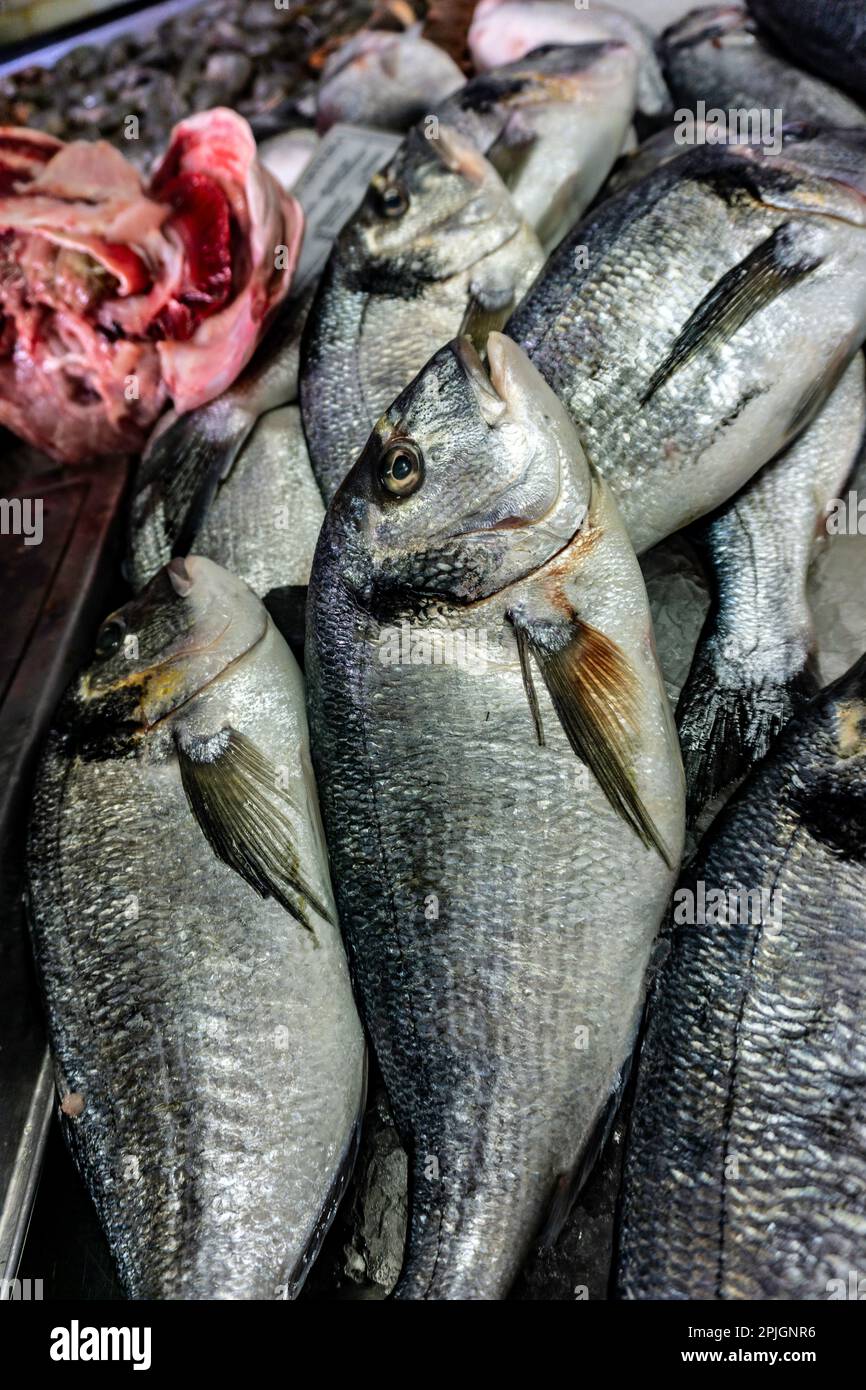 Poisson de bar de mer en vente sur le marché du poisson à Quarteira, Portugal. Banque D'Images