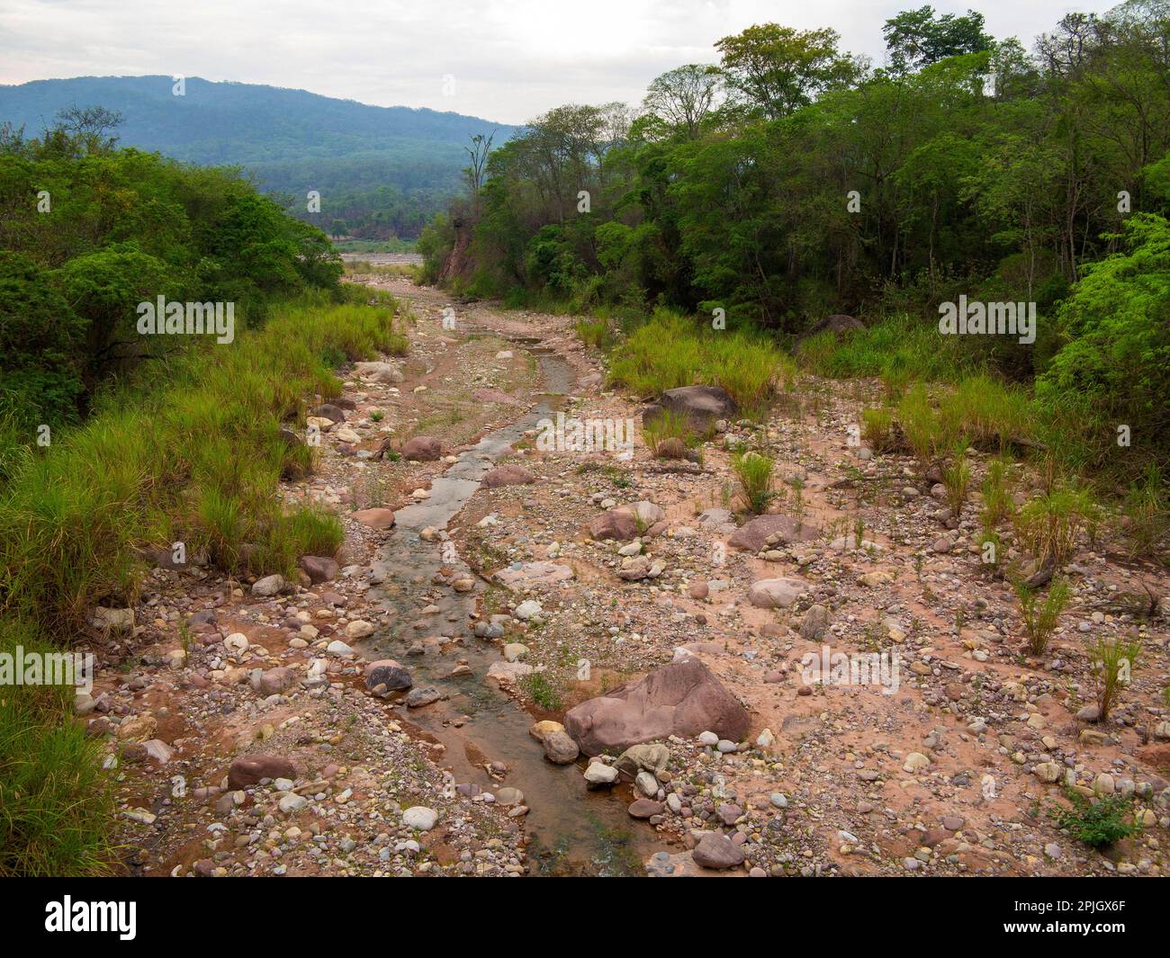 Petit ruisseau sur le parc de Calilegua, dans la province de Jujuy, en Argentine Banque D'Images