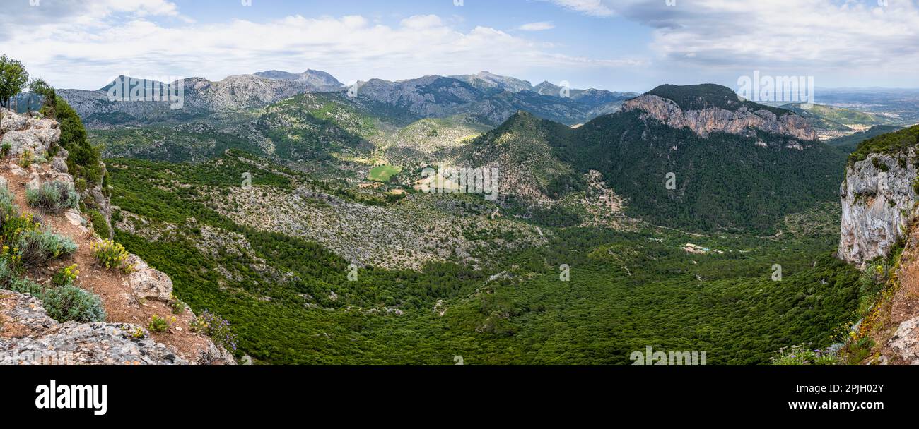 Vue sur les montagnes de Majorque, Serra de Tramuntana, Castell d Alaro, Puig dalaro, Majorque, Espagne Banque D'Images