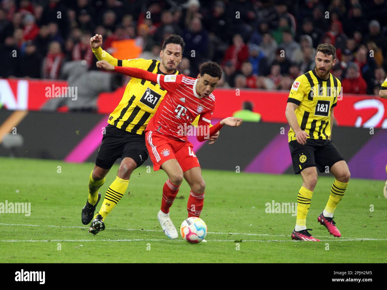 MUNICH, Allemagne. , . 6 Salih …ZCAN, 15 Mats HUMMELS de BvB vs 42 Jamal MUSIALA de FCB pendant le match de football de la Bundesliga entre le FC Bayern Muenchen et le BvB Dortmund à l'Allianz Arena de Munich le 1. Avril 2023, Allemagne. DFL, Fussball, 4:2 (photo et copyright @ ATP images/Arthur THILL (THILL Arthur/ATP/SPP) crédit: SPP Sport Press photo. /Alamy Live News Banque D'Images